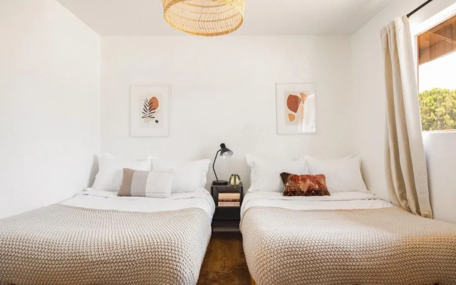 Mountain View Trail - Roadrunner