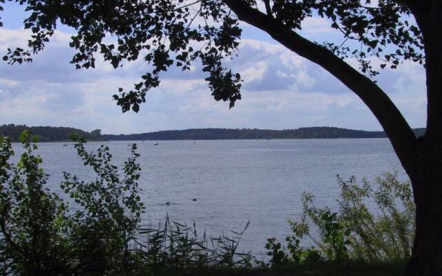 Schroder at the Aerie