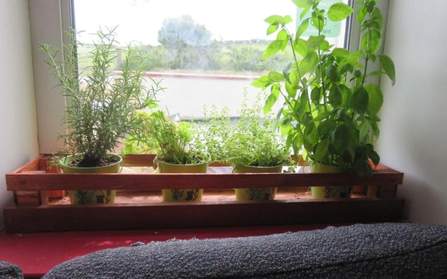 Finn McCool's Giants Causeway Hostel