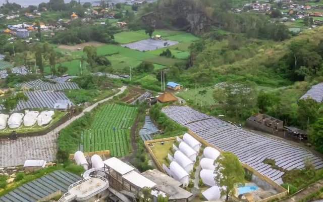 The Dewi Kintamani