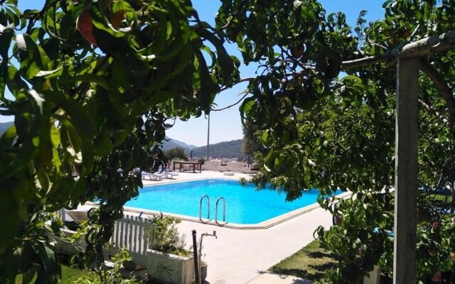 Sun Ocean Motel