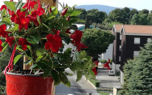 nel blu dipinto di blu