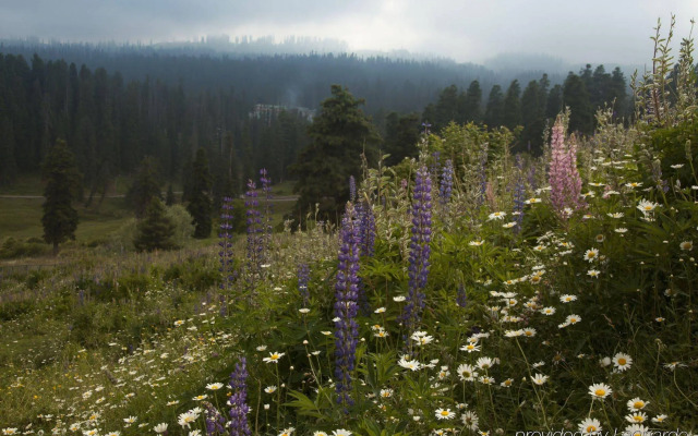 The Khyber Himalayan Resort & Spa