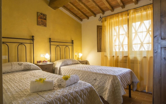 Under the Chianti Sun