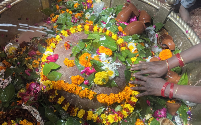 Hotel Rajyashree Palace