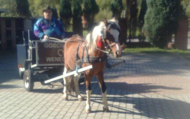 Gosciniec Wenecja