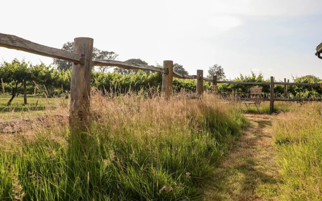Oak Meadow