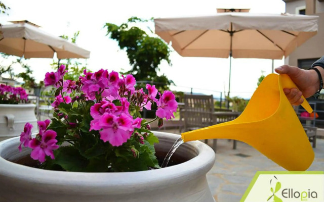 Ellopia Point Hotel
