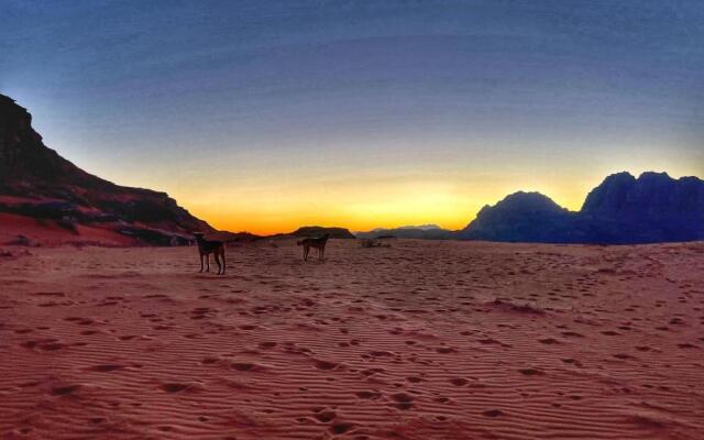 Wadi Rum Bedouin Tour with a Camp