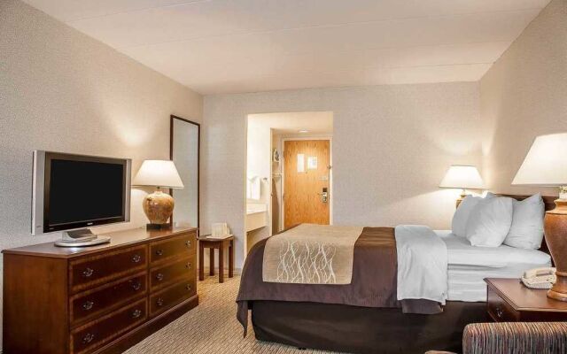 Comfort Inn Warwick Airport