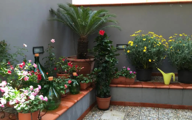 B&B Civico Cinque