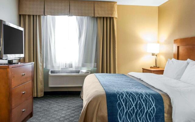 Comfort Inn & Suites Napoleon