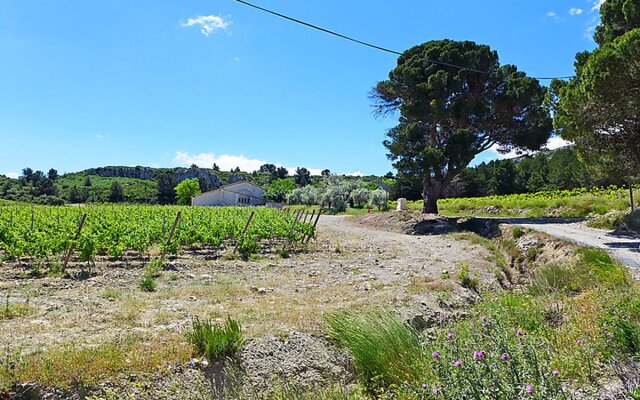 Les Vendanges