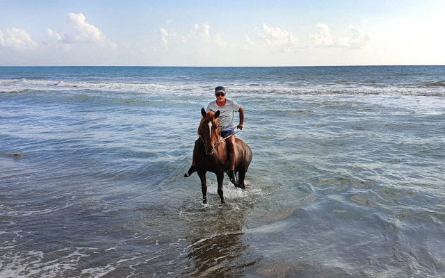 Patara Caretta Hotel