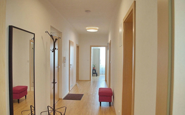 Bright spacious apartment