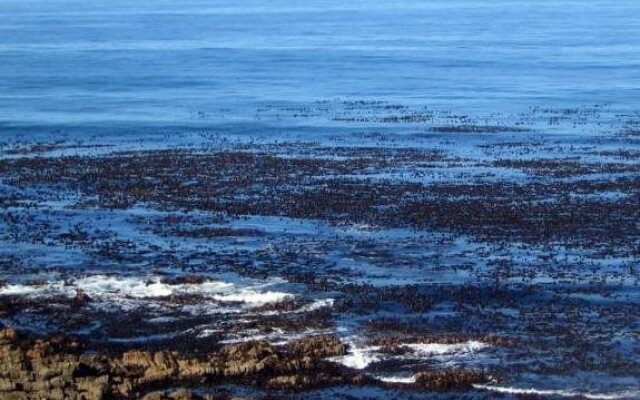 Beaumonte Guesthouse