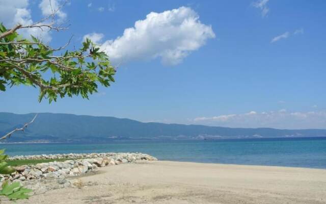 Balance Accommodation