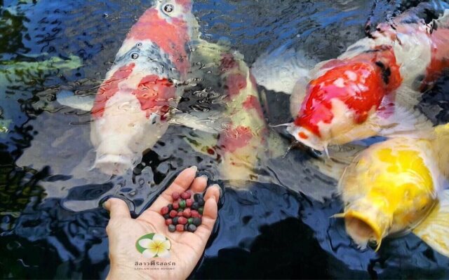 Baansuan Leelawadee Resort Nan