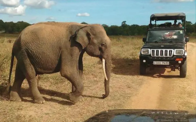 NATURE LOVERS family SAFARI RESORT