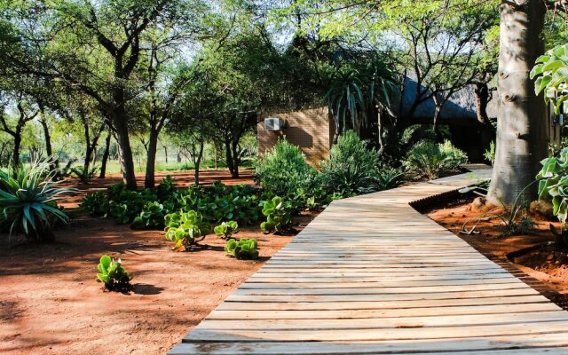 Zingela Nature Reserve - Leadwood Lodge