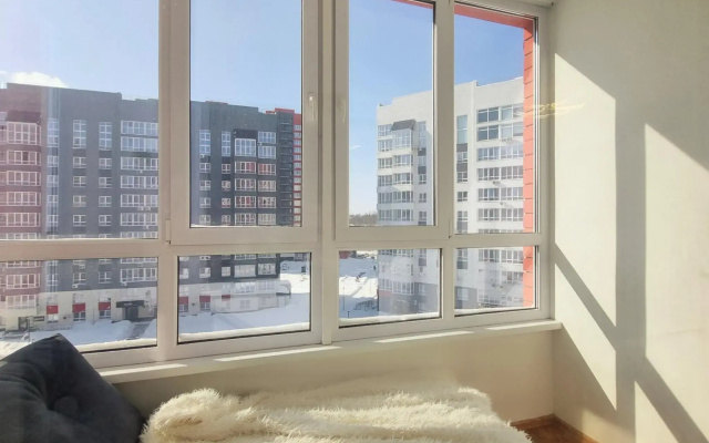Рыжий Кот Норд