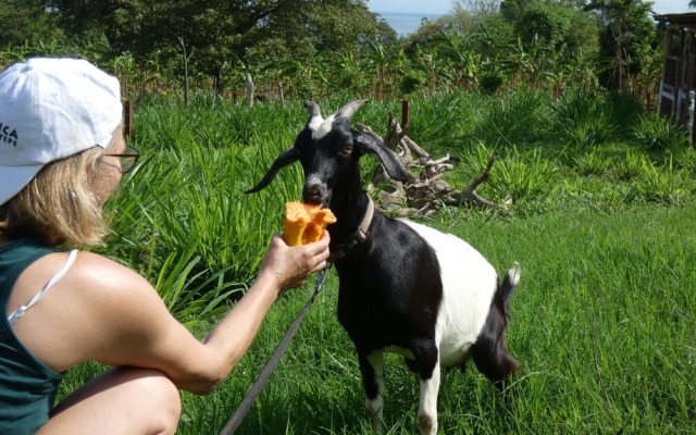 Finca Ometepe