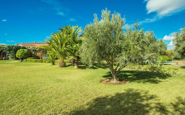 Villa les Oliviers 2 Bedrooms - A Setting of Tranquility