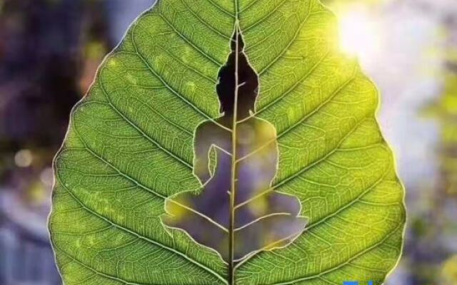 Wutaishan Huixinyuan Homestay (Zhenrongsi Branch)