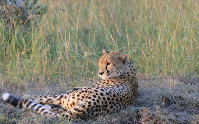 Encounter Mara Camp
