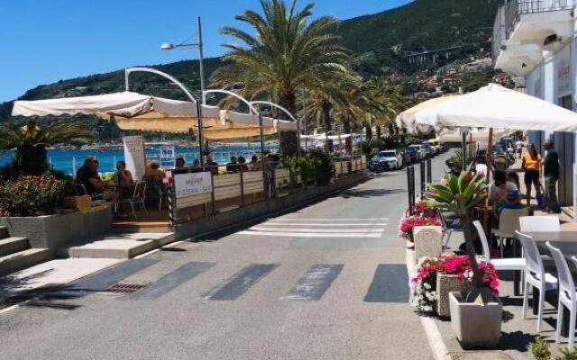 Sleep To The Sound Of The Surf