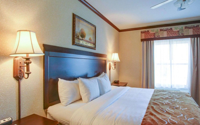 Comfort Suites University Drive