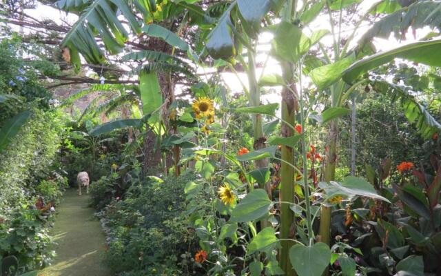 Il Roseto di Betty Appartamento in villa S1