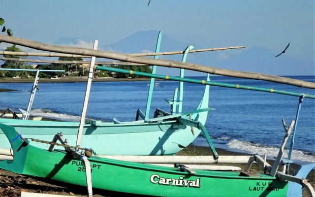 Mayo Resort