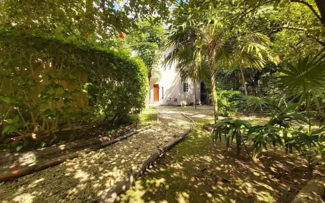 Mini Pini Birdwatching and Cenote Loft4 you Only