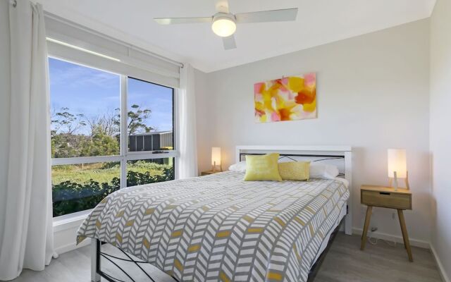 The Friendly Pelican