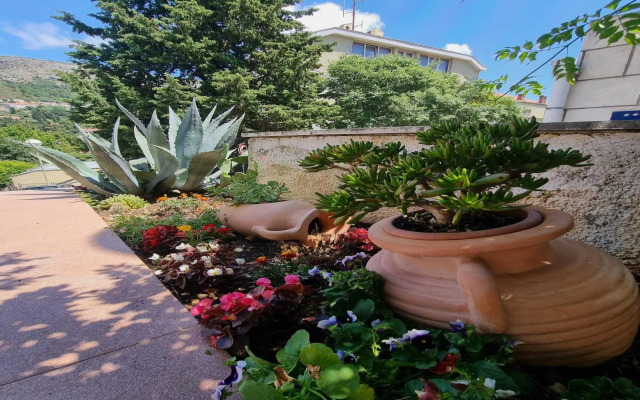 Guesthouse Apartments ZR