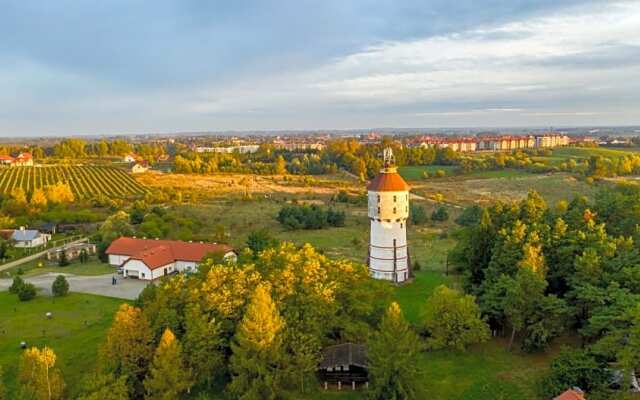 Róża Wiatrów