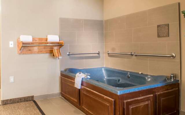 Comfort Inn Edinburg South