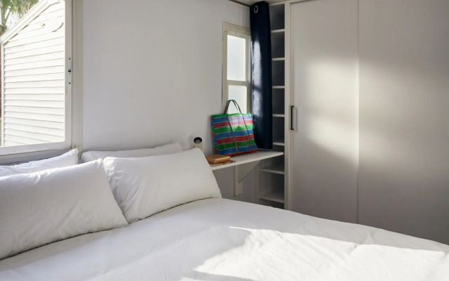 TAIGA Delta de l'Ebre