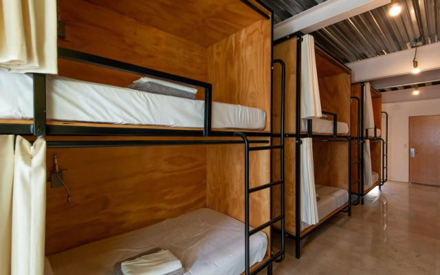 Mayan Monkey Los Cabos Social Hotel - Adults Only
