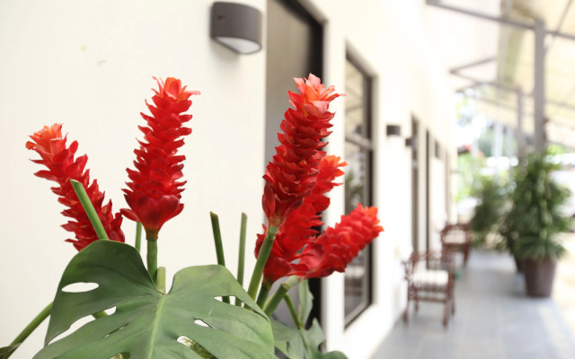 Airport Costa Rica B&B