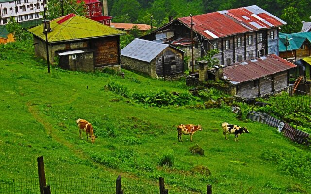 Ayder Liligum Dag Evi