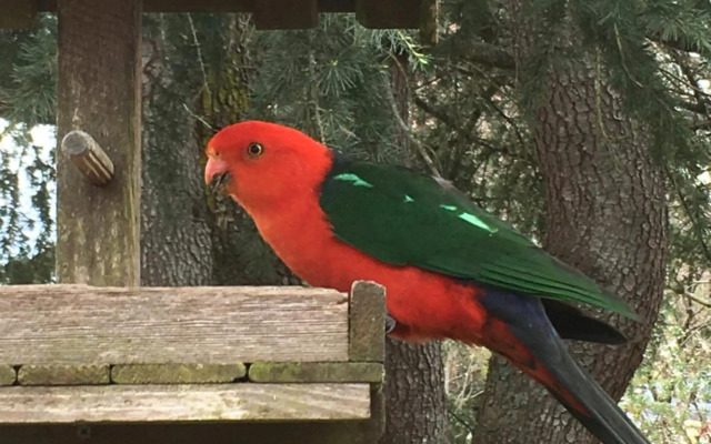 On the River, Porepunkah - Bright VIC