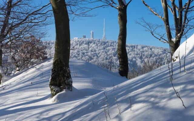 Tom's Ferienappartements Appartment 2
