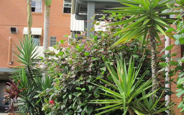 Comfort Inn Spring Hill Terraces