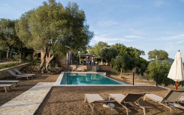 Treurer Olive Grove & Grand House - Adults Only