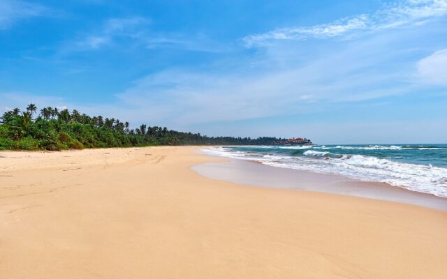 No1 Indian Ocean
