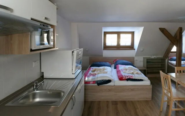 Apartments Stein Boží Dar