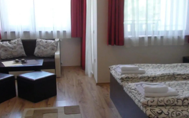 Borovets Gardens Studio D36