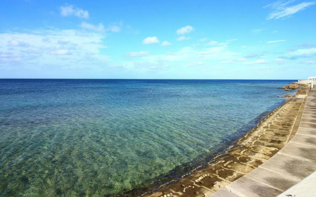 OCEAN VIEW MANSION 2F / Vacation STAY 60396